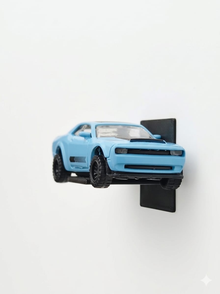 Product Display Image